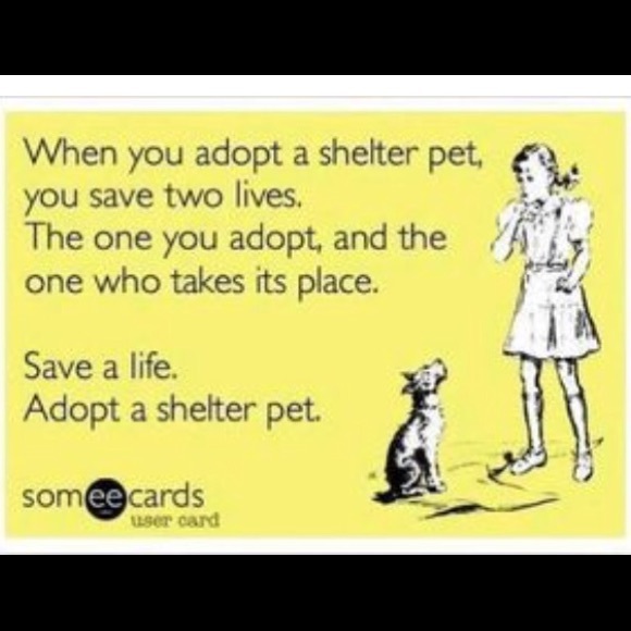 LOVE MY PUPS❤️ - Picture 2 of 4