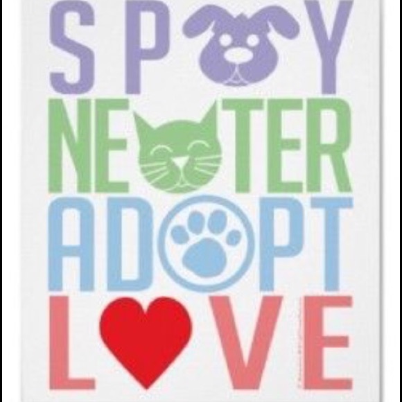 LOVE MY PUPS❤️ - Picture 4 of 4