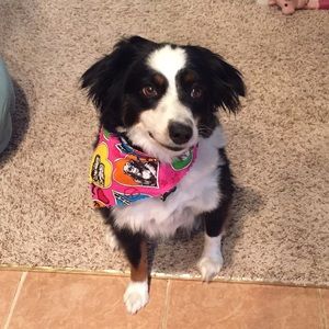 Meet your Posher, Caylee