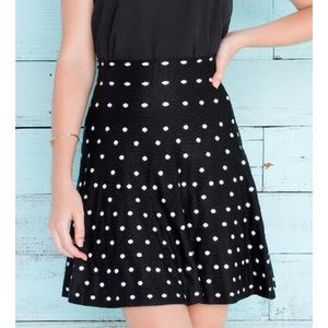Francesca's Polka Dot Skirt
