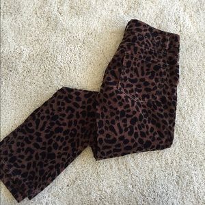 Animal print modern straight loft pants