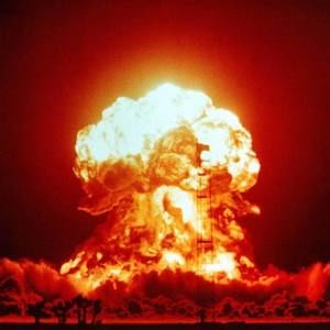 Meet your Posher, George