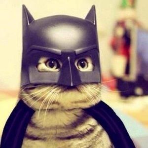 Meet your Posher, Monica