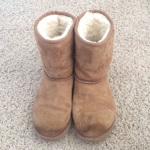 Chestnut Ugg Boots