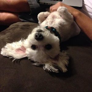 Meet your Posher, Yael