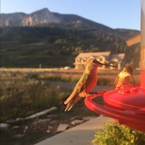 Meet your Posher, Stella