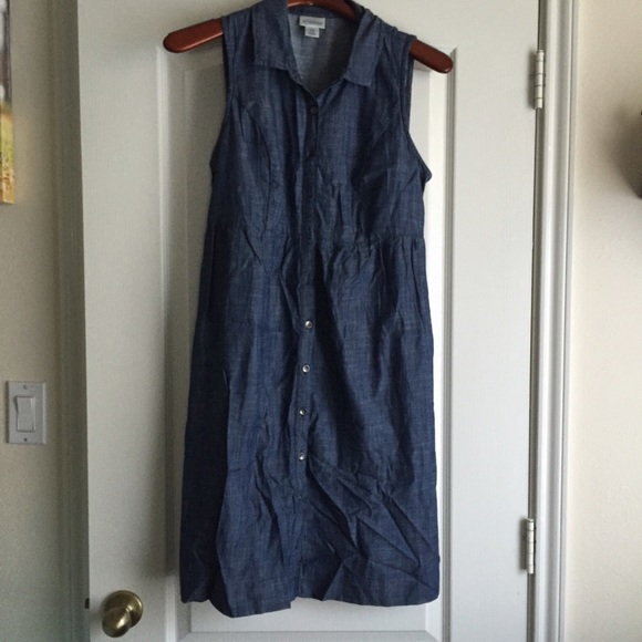 Maternity chambray dress