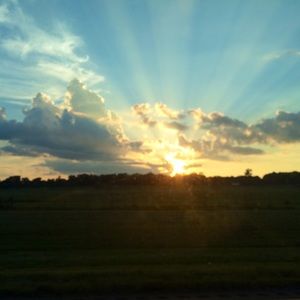 Meet your Posher, Gina