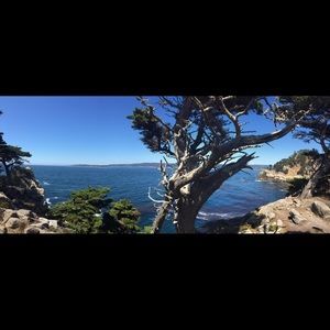 Meet your Posher, Cailey