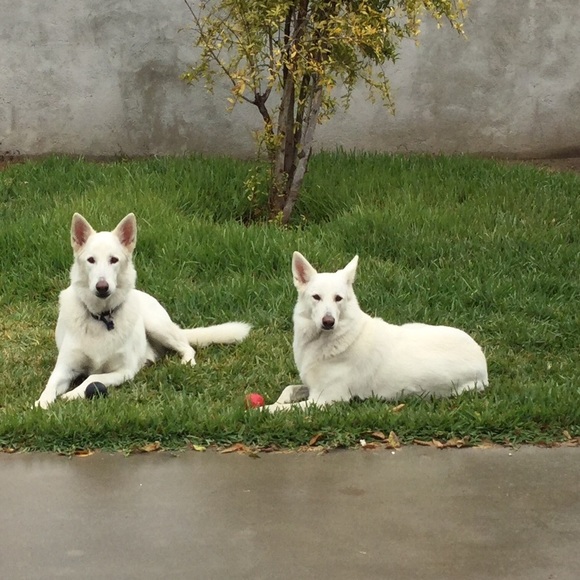 Meet Your Posher & Suggested User Jennifer - Picture 3 of 4