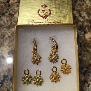 Premier designs earrings with changeable charms
