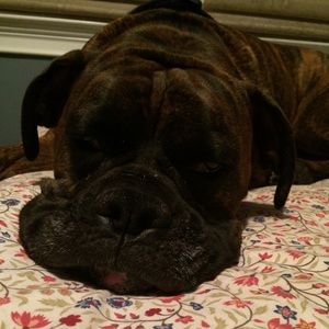 Meet your Posher, Donna