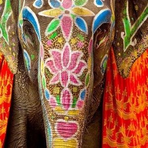 Meet your Posher, Shawna