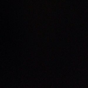 Meet your Posher, Maggie