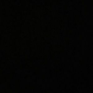 Meet your Posher, Bryson