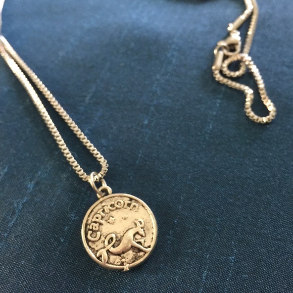 ☀️SummerSale☀️ Capricorn Zodiac SS necklace