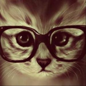 Meet your Posher, Amelia