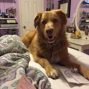 Meet your Posher, Addie