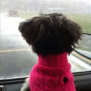 Meet your Posher, Erika