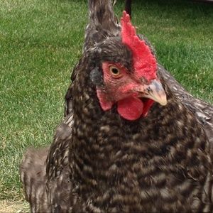 My needs in the trading department. <3