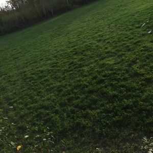 Meet your Posher, Lydia