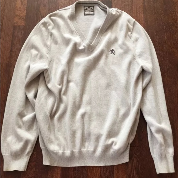 Express VNeck sweater