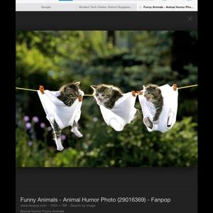 Meet your Posher, Kaylee