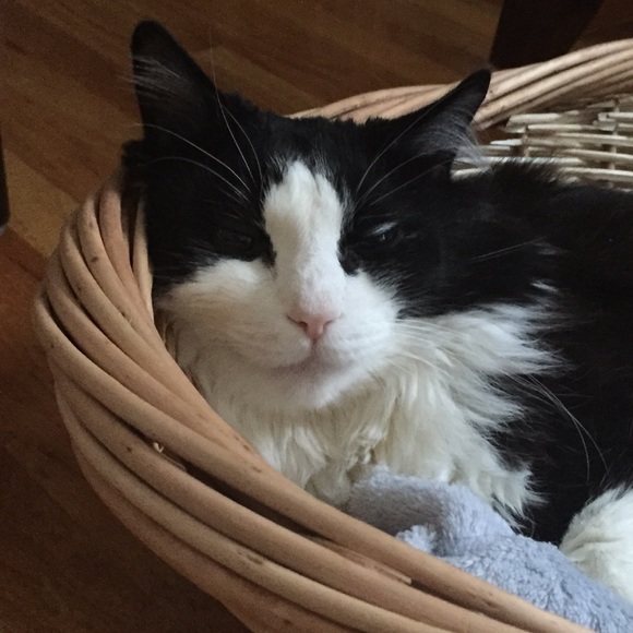 Meet your Posher, Patrycja