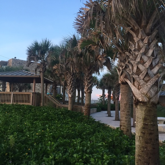 Meet your Posher, Mackenzie - Picture 1 of 1