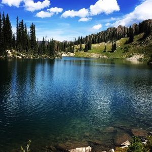 Meet your Posher, Sydney