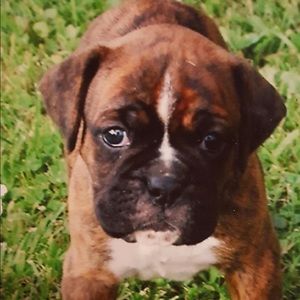 Meet your Posher, Susan