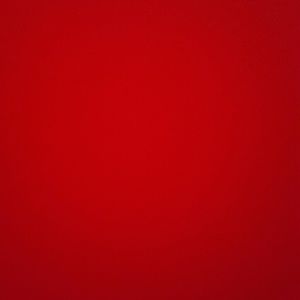 Meet your Posher, Sampson