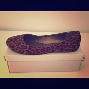 Leopard-print, never-worn flats!