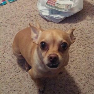 Meet your Posher, Michelle