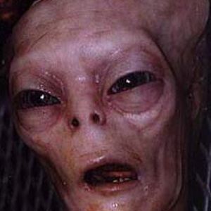 Meet your Posher, Adriana