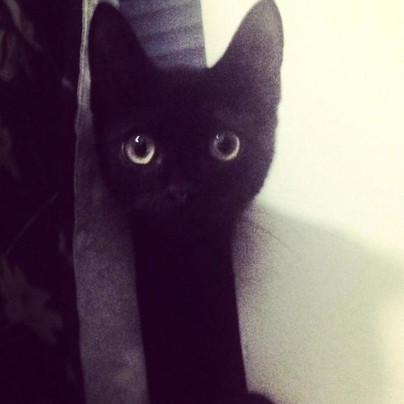 Meet your Posher, Jane jonghyun - Picture 1 of 1