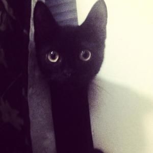 Meet your Posher, Jane jonghyun