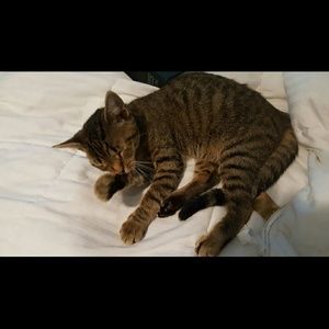 Meet your Posher, Lindsey