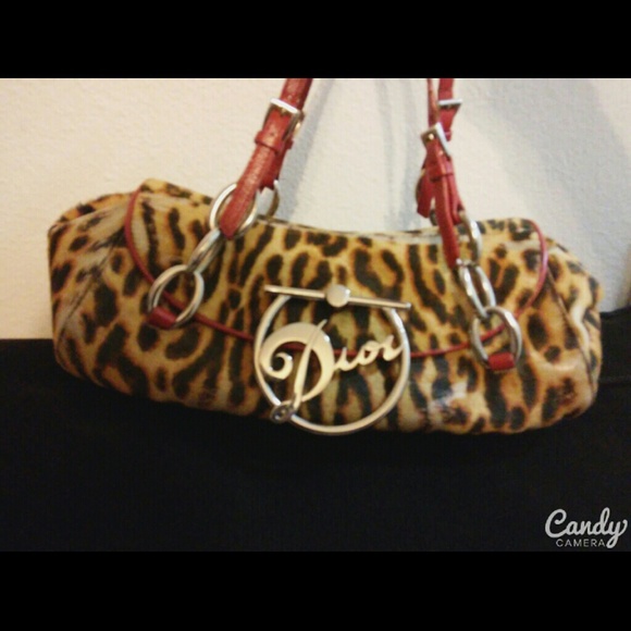 Cheetah Print Hand bag