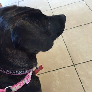 Meet your Posher, Angela