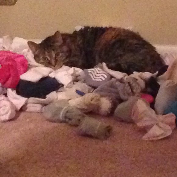 Our Menagerie :) - Picture 2 of 3