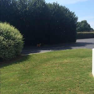 Meet your Posher, Debra