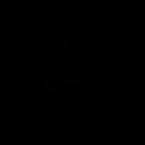 Meet your Posher, Daisy