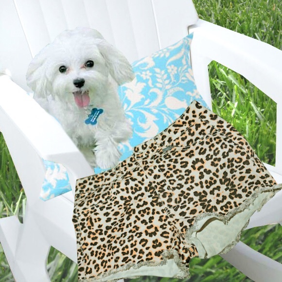 "Report” Leopard Shorts - Picture 2 of 4