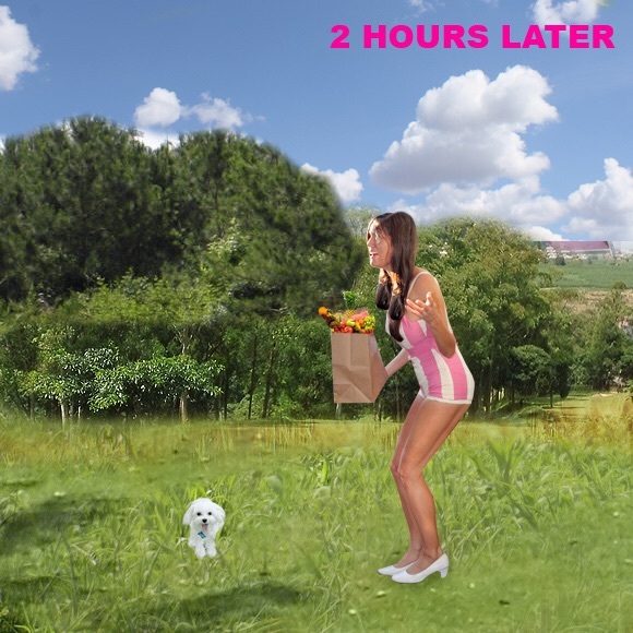 "Report” Leopard Shorts - Picture 3 of 4