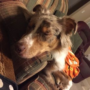 Meet your Posher, Kerry