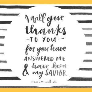 Meet your Posher, Mackenzie