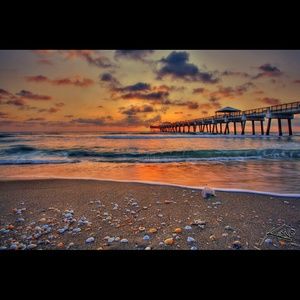 Meet your Posher, Tia