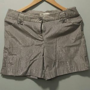 White House Black  Market Pinstripe shorts