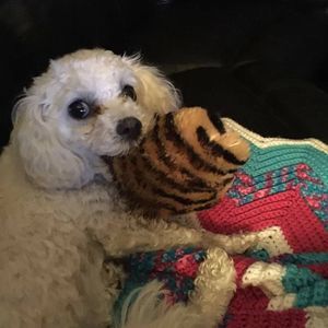 Meet your Posher, Madison